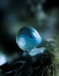 Deutschland/Rheinland-Pfalz/Mayen-Koblenz-Kreis/Pellenz, Verbandsgemeinde/Kruft/Krufter Ofen