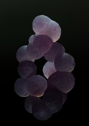 Indonesien/Sulawesi (Celebes)/Westsulawesi (Sulawesi Barat), Provinz/Mamuju, Bezirk