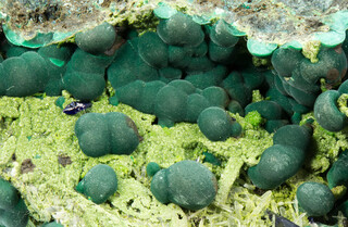 Namibia/Oshikoto (Otjikoto), Region/Tsumeb/Tsumeb Mine