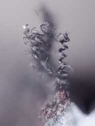 Deutschland/Bayern/Oberfranken, Bezirk/Bayreuth, Landkreis/Goldkronach, Stadt/Brandholz, Ortsteil/Ludwig Wittmann-Schacht