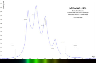 Deutschland/Baden-Württemberg/Freiburg, Bezirk/Waldshut, Landkreis/St. Blasien, Stadtgemeinde/Menzenschwand, Ortsteil/Krunkelbach