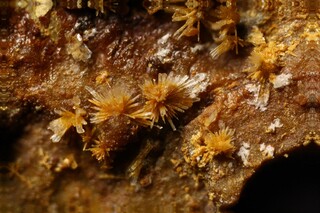 Deutschland/Sachsen-Anhalt/Börde, Landkreis/Flechtingen, Verbandsgemeinde/Flechtingen, Gemeinde/Steinbruch Holzmühlental