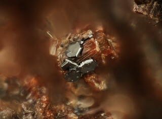 Deutschland/Rheinland-Pfalz/Mayen-Koblenz-Kreis/Pellenz, Verbandsgemeinde/Nickenich/Nickenicher Weinberg (Sattelberg)