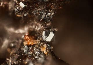 Deutschland/Rheinland-Pfalz/Mayen-Koblenz-Kreis/Pellenz, Verbandsgemeinde/Nickenich/Nickenicher Weinberg (Sattelberg)