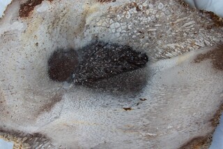 Deutschland/Bayern/Niederbayern, Bezirk/Passau, Landkreis/Ortenburg, Gemeinde/Rauscheröd, Ortsteil/Kieswerk Alex Rauscheröd