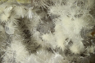 Deutschland/Bayern/Oberpfalz, Bezirk/Tirschenreuth, Landkreis/Krummennaab/Thumsenreuth/Dürrer Schlag