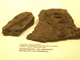 Deutschland/Rheinland-Pfalz/Eifelkreis Bitburg-Prüm/Prüm, Verbandsgemeinde/Niederprüm