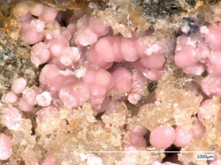 Deutschland/Sachsen/Erzgebirgskreis/Marienberg, Revier