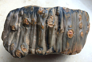 Deutschland/Bayern/Unterfranken, Bezirk/Kitzingen, Landkreis/Volkach/Mainkies