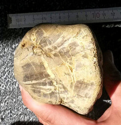 Deutschland/Hessen/Darmstadt, Bezirk/Main-Taunus-Kreis/Hattersheim am Main