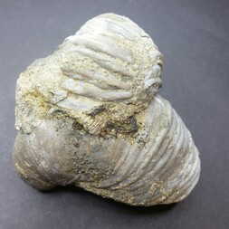 Schweiz/Schaffhausen, Kanton/Hallau