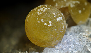 Indien/Maharashtra/Nashik (Nasik), Distrikt/Mahodari