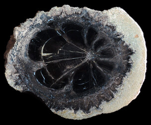 USA/Colorado/Montezuma County/McElmo Creek