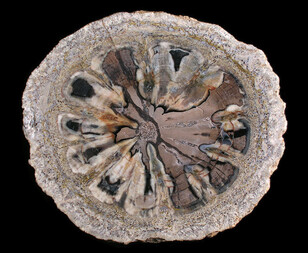 USA/Colorado/Montezuma County/McElmo Creek