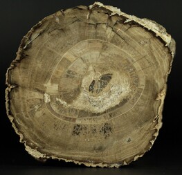 Westsahara/Laâyoune-Sakia El Hamra, Region/Boujdour (Bojador), Provinz/Boujdour