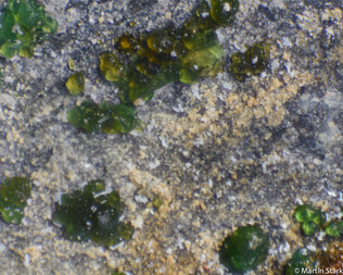 Deutschland/Niedersachsen/Goslar, Landkreis/Schulenberg im Oberharz/Oberschulenberg/Grube Glücksrad