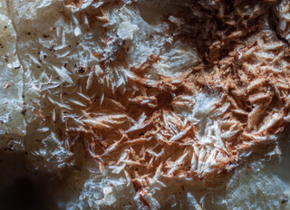 Deutschland/Bayern/Oberbayern, Bezirk/Rosenheim, Landkreis/Raubling, Gemeinde/Moor zwischen Bad Feilnbach und Raubling