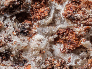 Deutschland/Bayern/Oberbayern, Bezirk/Rosenheim, Landkreis/Raubling, Gemeinde/Moor zwischen Bad Feilnbach und Raubling