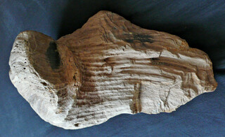 Österreich/Niederösterreich/Horn, Bezirk