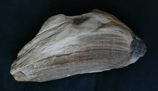 Österreich/Niederösterreich/Horn, Bezirk