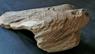 Österreich/Niederösterreich/Horn, Bezirk