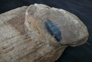 Österreich/Niederösterreich/Horn, Bezirk