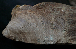 Österreich/Niederösterreich/Horn, Bezirk