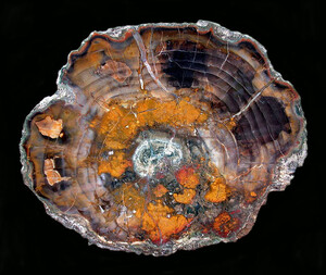 USA/Oregon/Deschutes County/Hampton Butte