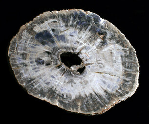 Deutschland/Sachsen/Chemnitz/Hilbersdorf