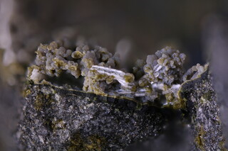 Deutschland/Hessen/Darmstadt, Bezirk/Wetteraukreis/Nidda/Ober-Widdersheim/Steinbruch Nickel (Ober-Widdersheim)