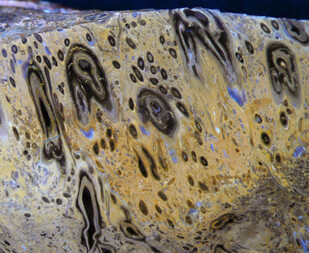 USA/Oregon/Baker County/Greenhorn