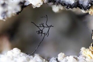 Namibia/Khomas, Region/Windhoek-Land, Kreis/Aris/Aris-Steinbrüche (Ariskop Quarry; Railway Quarry)