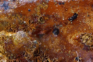 Deutschland/Rheinland-Pfalz/Ahrweiler, Landkreis/Altenahr, Verbandsgem./Ahrbrück/Martinsknipp