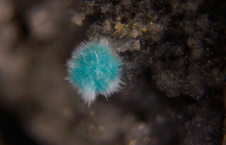 Deutschland/Niedersachsen/Goslar, Landkreis/Schulenberg im Oberharz/Oberschulenberg/Grube Glücksrad