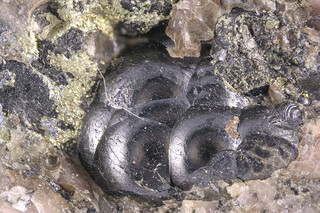 Deutschland/Sachsen/Erzgebirgskreis/Aue-Bad Schlema, Große Kreisstadt/Lagerstätte Schlema-Alberoda/Schacht 371