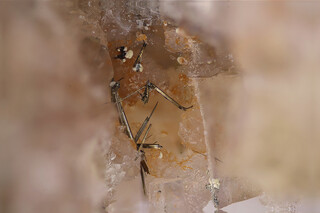 Deutschland/Sachsen/Erzgebirgskreis/Marienberg, Revier/Marienberg/Lauta/Schacht 139 (Abrahamhalde)