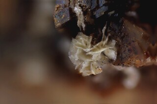 Deutschland/Sachsen/Erzgebirgskreis/Aue-Bad Schlema, Große Kreisstadt/Lagerstätte Schlema-Alberoda/Schacht 371