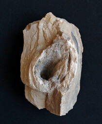 Österreich/Niederösterreich/Horn, Bezirk