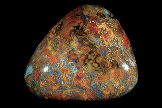 Deutschland/Saarland/St. Wendel, Landkreis/Freisen/Freisener Höhe/Ackerfunde