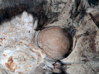 Türkei/Zentralanatolien/Ankara, Provinz/Kızılcahamam, Landkreis