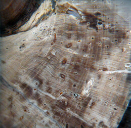 Türkei/Zentralanatolien/Ankara, Provinz/Kızılcahamam, Landkreis