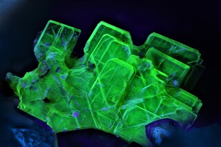 Frankreich/Nouvelle-Aquitaine, Région/Corrèze, Département/Ussel, Arrondissement/Davignac/Le Boucheron