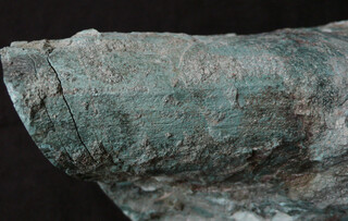 USA/Oregon/Deschutes County/Hampton Butte