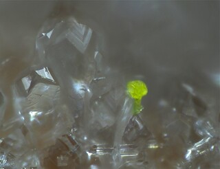 Deutschland/Rheinland-Pfalz/Ahrweiler, Landkreis/Brohltal, Verbandsgemeinde/Brenk, Gemeinde/Schellkopf