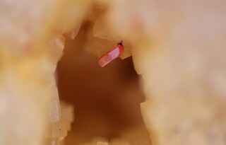 Deutschland/Sachsen/Erzgebirgskreis/Aue-Bad Schlema, Große Kreisstadt/Lagerstätte Schlema-Alberoda/Schacht 371