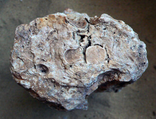 Ungarn/Borsod-Abaúj-Zemplén, Komitat/Gönc, Kreis/Fony/Cigány-Tövis