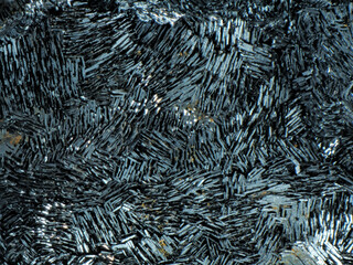 Deutschland/Hessen/Gießen, Bezirk/Gießen, Landkreis/Lindener Mark