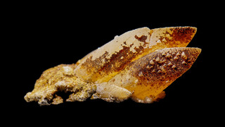 Deutschland/Hessen/Darmstadt, Bezirk/Wetteraukreis/Nidda/Ober-Widdersheim/Steinbruch Nickel (Ober-Widdersheim)