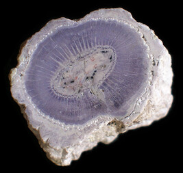 Deutschland/Sachsen/Chemnitz/Hilbersdorf