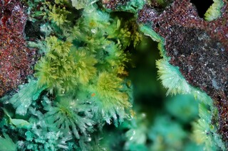 Deutschland/Sachsen-Anhalt/Mansfeld-Südharz, Landkreis/Hettstedt/Kupfer-Silberhütte (Gottesbelohnung)